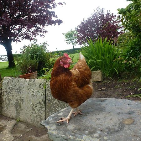 Kidwelly Farmhouse B&B Bagian luar foto